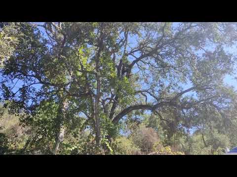 Wenn Unmögliches möglich wird! 😲