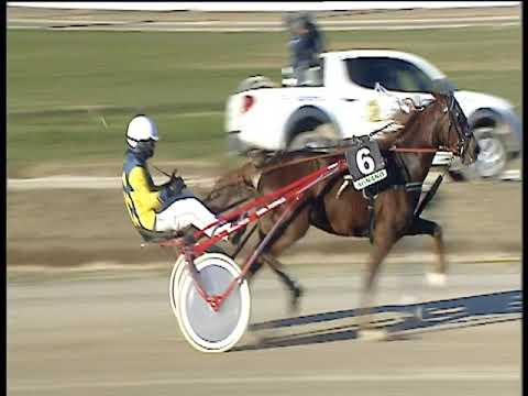 Trotto 15/01/2019 - 1ª corsa