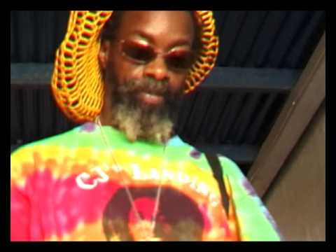 Earl Chinna Smith "I'm just a guitar"