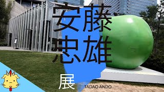 【安藤忠雄展】建築業のプロに案内してもらいました