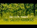 The Celtic Tenors - The Salley Gardens [Lyric Video]