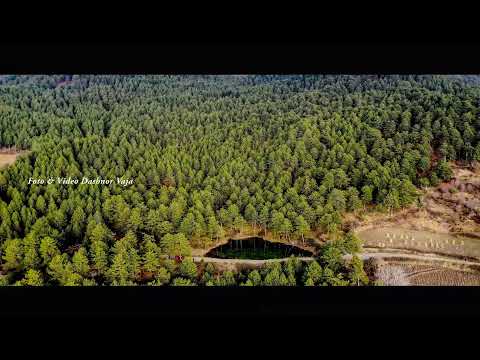 Fryn Veri,  Shkon  Bajamja Zallit, Pogonishte, Sulova Super Kolazhe,