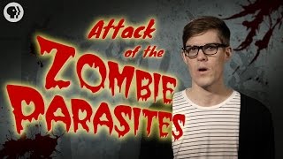 Attack Of The Zombie Parasites!
