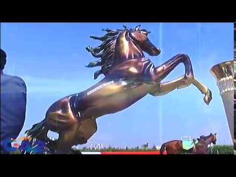 Pakistan's biggest Derby horse race Title Big Bravo Win