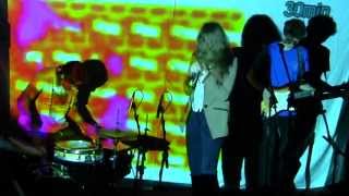 THE VIDEO HIPPOS: Live @ The Ottobar, 9/21/2013, (Part 2)