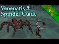 OSRS Venenatis & Spindel Guide | Updated Venenatis Guide