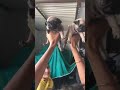 Pug Two Male Good Quality
