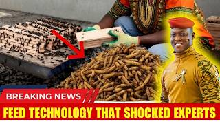 Burkina Faso’s Fly-Based Livestock Feed Project Is Changing African Agriculture Forever