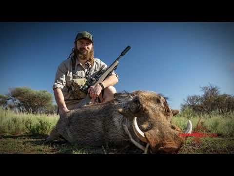 Mossberg Patriot .308 - FULL REVIEW and AMMO TEST