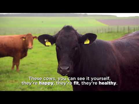 Meat With Integrity: Hazel McNee