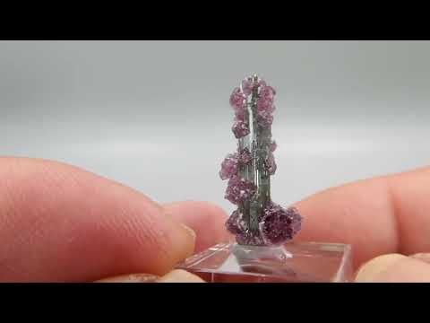 Lepidolite on elbaite from the Pederneira mine, São José da Safira, Minas Gerais, Brazil