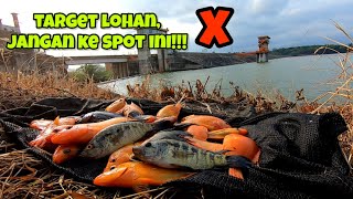 Download lagu LOHAN TARGET DO NOT GO TO THIS SPOT || fishing for red devil fish in Karangkates reservoir mp3