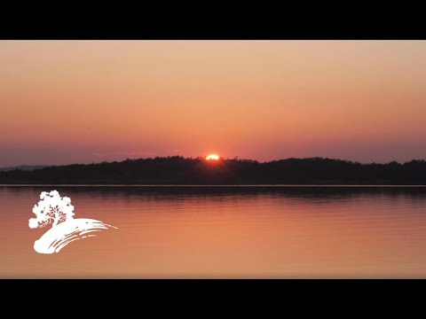 Beegie Adair - Love Letters: The Beegie Adair Romance Collection [FULL Album]