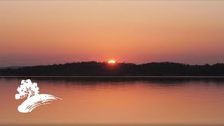 Download lagu Beegie Adair - Love Letters: The Beegie Adair Romance Collection [FULL Album] mp3