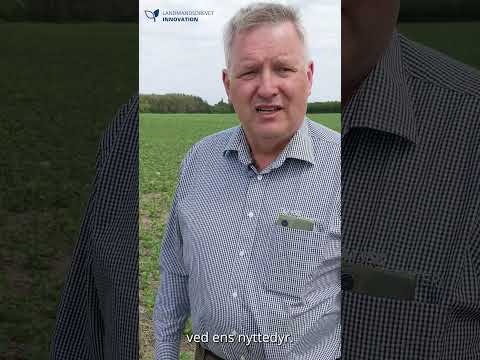 Knud Bay-Smidt fortæller om afprøvningen.