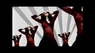 The Rhythm Thief Music Video