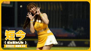 OH MY BUDDY 短今（Sammie）Passion Sisters 中信兄弟啦啦隊  cheerleader 치어리더 臺中洲際棒球場 2024/5/3【台湾チアTV】