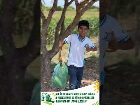 Lagoa alegre #caminhoparaumavidamelhor