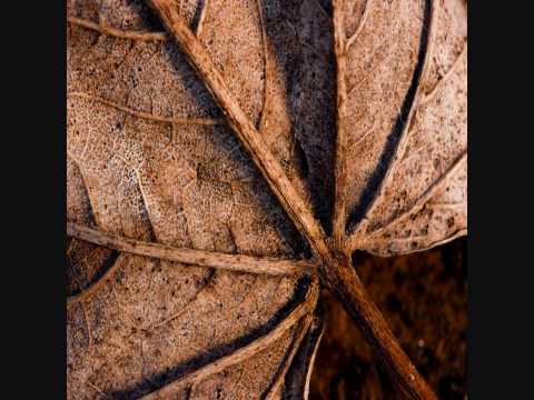 lmms- 7th orchestral no plugins