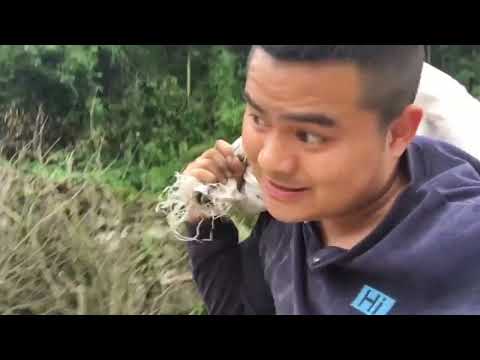 É uma viagem de dezesseis quilômetros através de pequenas montanhas e água, e é um pouco de solo preto e duro!