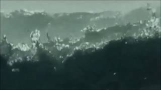 Hector Zazou    I&#39;ll Strangle You 1992