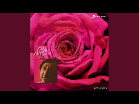 Sochte Aur Jaagte Saanson Ka Ek Dariya Hoon Main (Live)