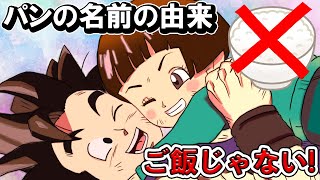【DRAGON BALL】パンの名前に秘められた意味が深過ぎる!鳥山先生のすごさを徹底考察!【ドラゴンボール】