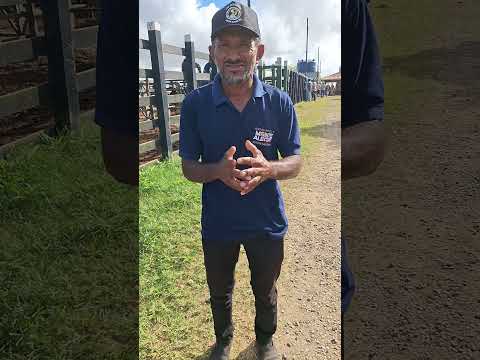 Como é a feira do gado do alto Sertão Monte Alegre Sergipe