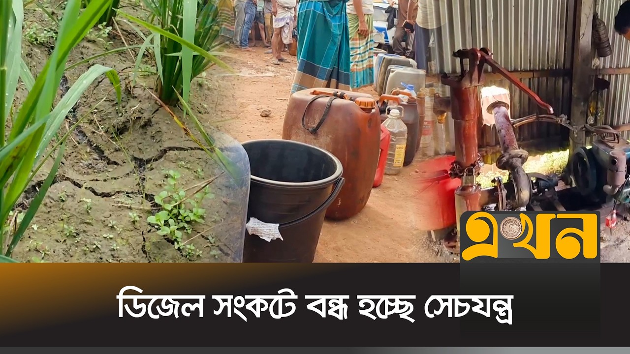 ১৭ হাজার হেক্টর জমির বোরো উৎপাদন অনিশ্চিত | Diesel Crisis | Irrigation Crisis | Savar | Ekhon TV