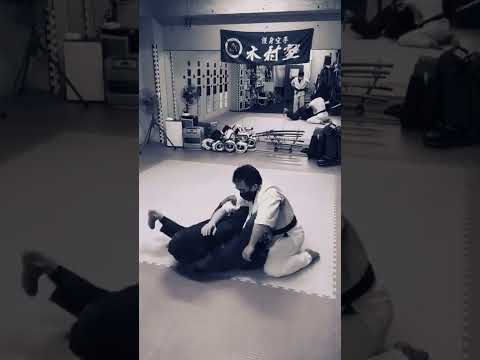 サイドポジション下からの