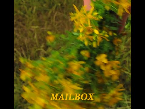 MAILBOX