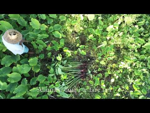 E poro ana vau (cover Weena TEMAURI & Moetai BROTHERSON)