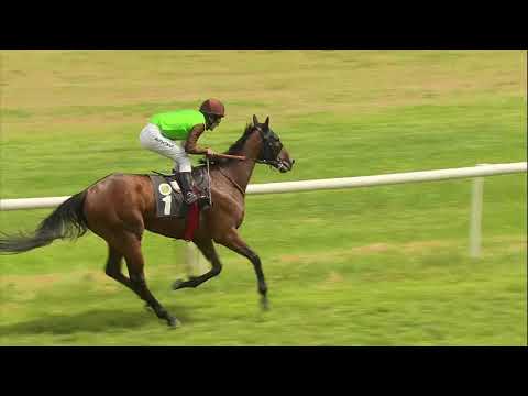 Galopprennbahn Dresden - 16.06.2019 - Rennen 5