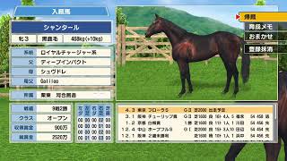 ダビスタ記録書 #05 ラフラクスン 続きの続き