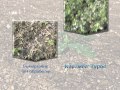 Фунгіцид Карамба Турбо
