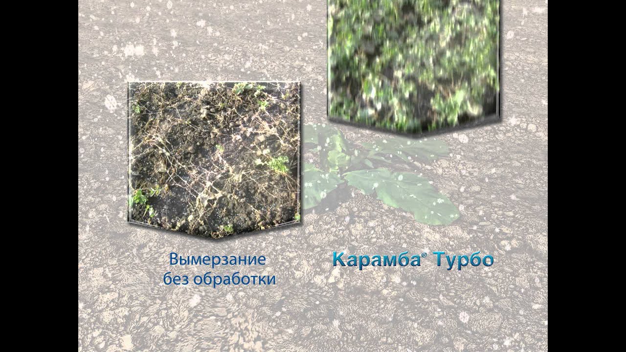 Фунгіцид Карамба Турбо