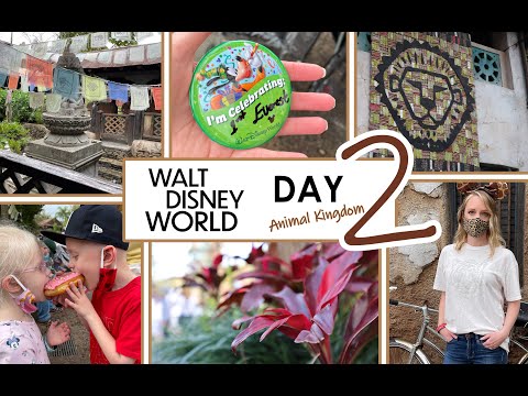 Day 2 ANIMAL KINGDOM!! KILIMANJARO SAFARIS--WALT DISNEY WORLD VLOG--HAPPILY EVER AFTER FOUR