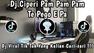 Download lagu DJ CIPERI PAM PAM PAM TE PEGO E PA 🎶 | DJ VIRAL TIK TOK TERBARU YANG KALIAN CARI-CARI ‼️ mp3