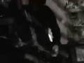 Ceremony - Regret  Live 3.14.09