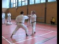 Tekki Shodan Bunkai