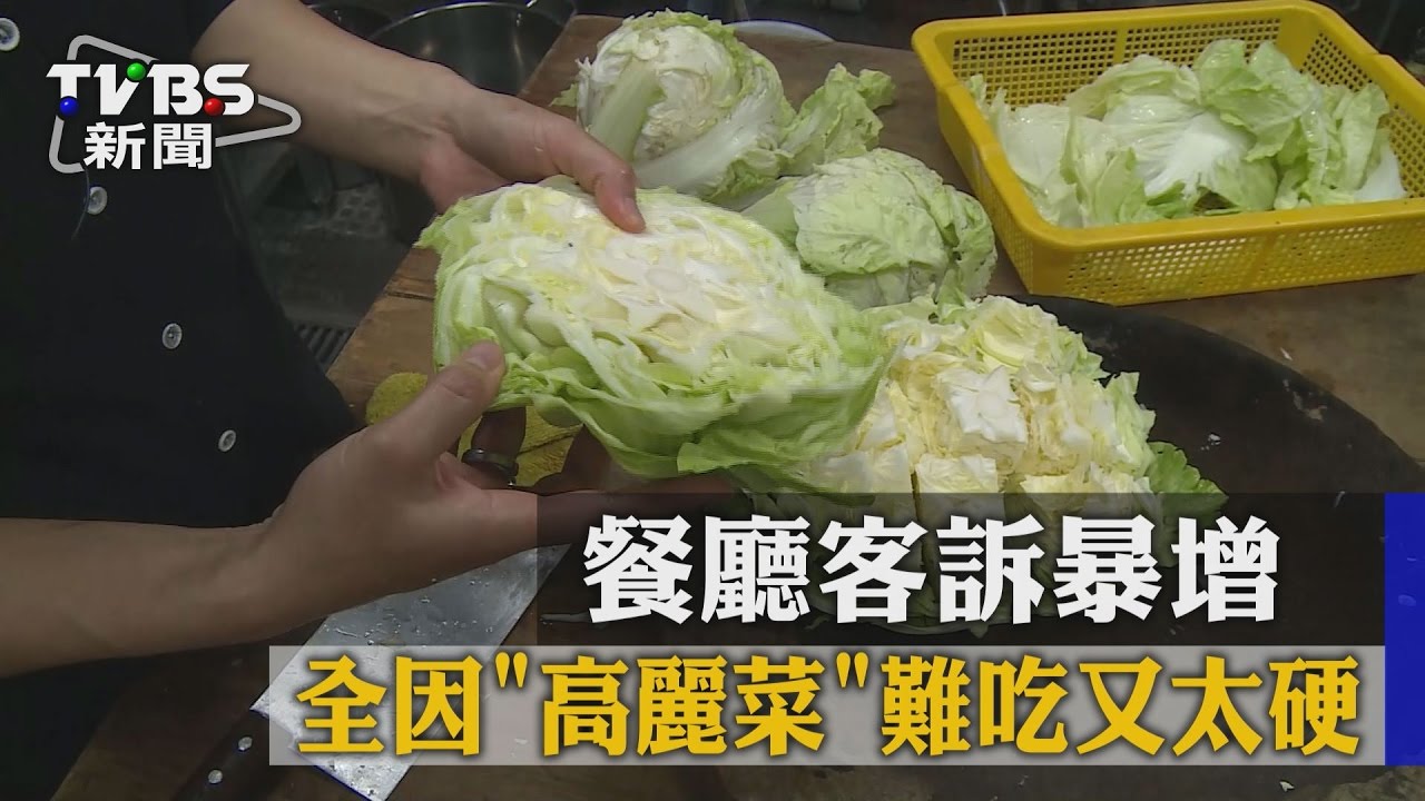 「高麗菜」惹禍！韓式火鍋2週客訴60通