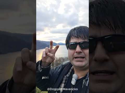 Dogood Mavericko video — The Online Business Trifecta!