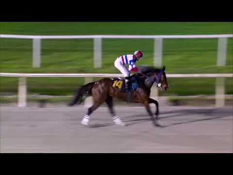 221001 c11 YOUR TREASURE (ARG)