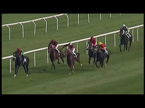 Premio Campobello 2017- Listed Race