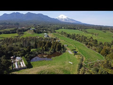 828 Dover Road, Okato, New Plymouth, Taranaki, 2 Bedrooms, 1 Bathrooms, Lifestyle Property