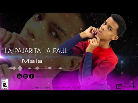 MALA (pajarita la paul) 2018