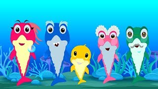 Το Μικρό Καρχαριάκι | Παιδικά Τραγούδια | Koperti