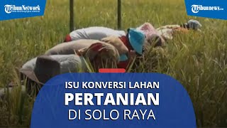 Terdapat Isu Konversi Lahan Pertanian di Kawasan Solo Raya, Ini Pendapat Ahli untuk Kepala Daerah
