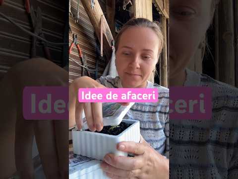 Idee de afaceri — râme pentru momeală pește
