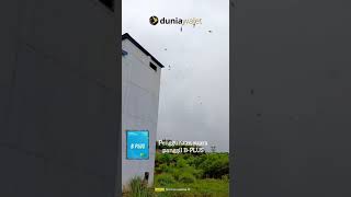 Download lagu Suara Panggil B-Plus, suara Walet original BAN Duniawalet. mp3